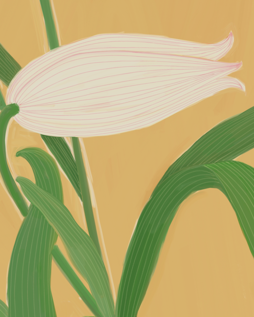 Still Becoming