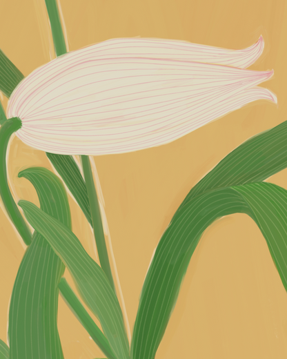 Still Becoming